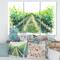 Designart - Rural Scene Vineyard Road - Traditional Canvas Wall Art Print